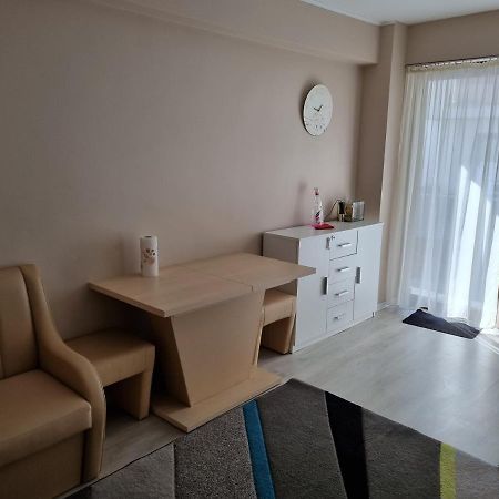 Apartament Mon Jardin - Iasi Apartment Bagian luar foto